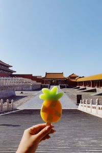 Person holding apple against clear sky