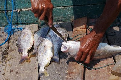 Cropped hands of man cutting fish at harbor