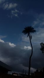 Low angle view of silhouette tree against sky