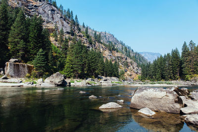 Scenic view of river by trees against clear sky