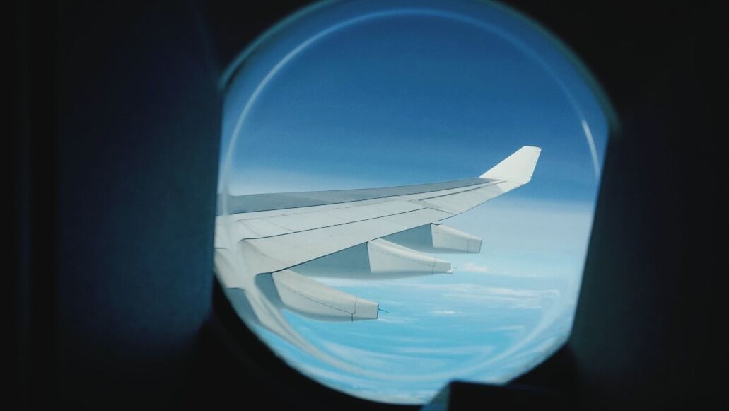 blue, airplane, flying, indoors, window, air vehicle, transparent, sky, no people, part of, glass - material, transportation, white color, mid-air, close-up, nature, mode of transport, cropped, copy space, day