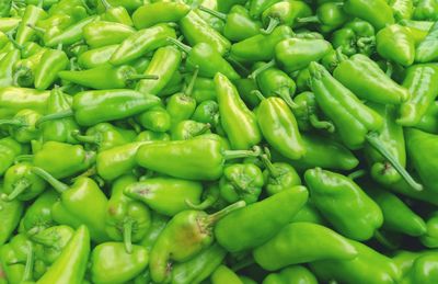 Full frame shot of green chili peppers