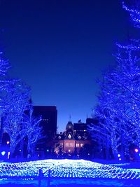 Illuminated christmas tree at night