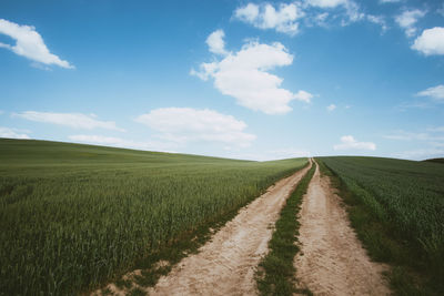 Scenic view of agricultural field against sky