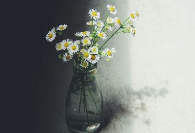 Close-up of white flowers