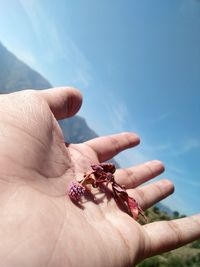 Close-up of person holding hand