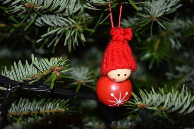 Close-up of christmas decoration hanging on tree