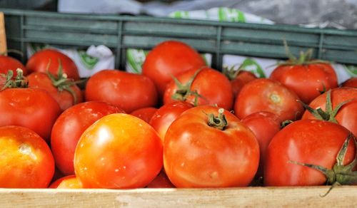 Close-up of fruits for sale in market