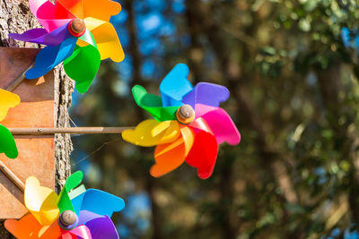 Close-up of multi colored balloons on plant