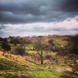 Scenic view of field against sky