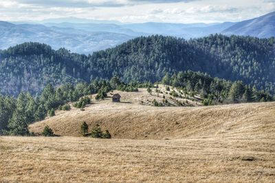 Scenic view of trees on field against mountains