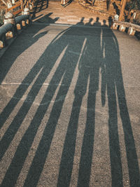 High angle view of people on road