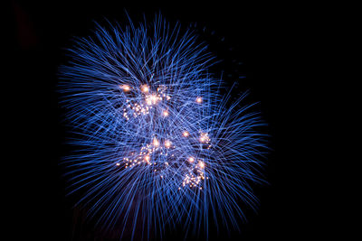 Low angle view of firework display