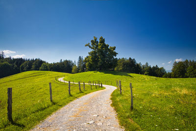 Dirt road amidst field against clear blue sky