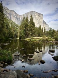 Scenic view of lake by trees against sky