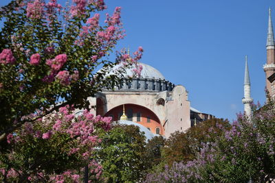 Low angle view of cherry blossoms against sky