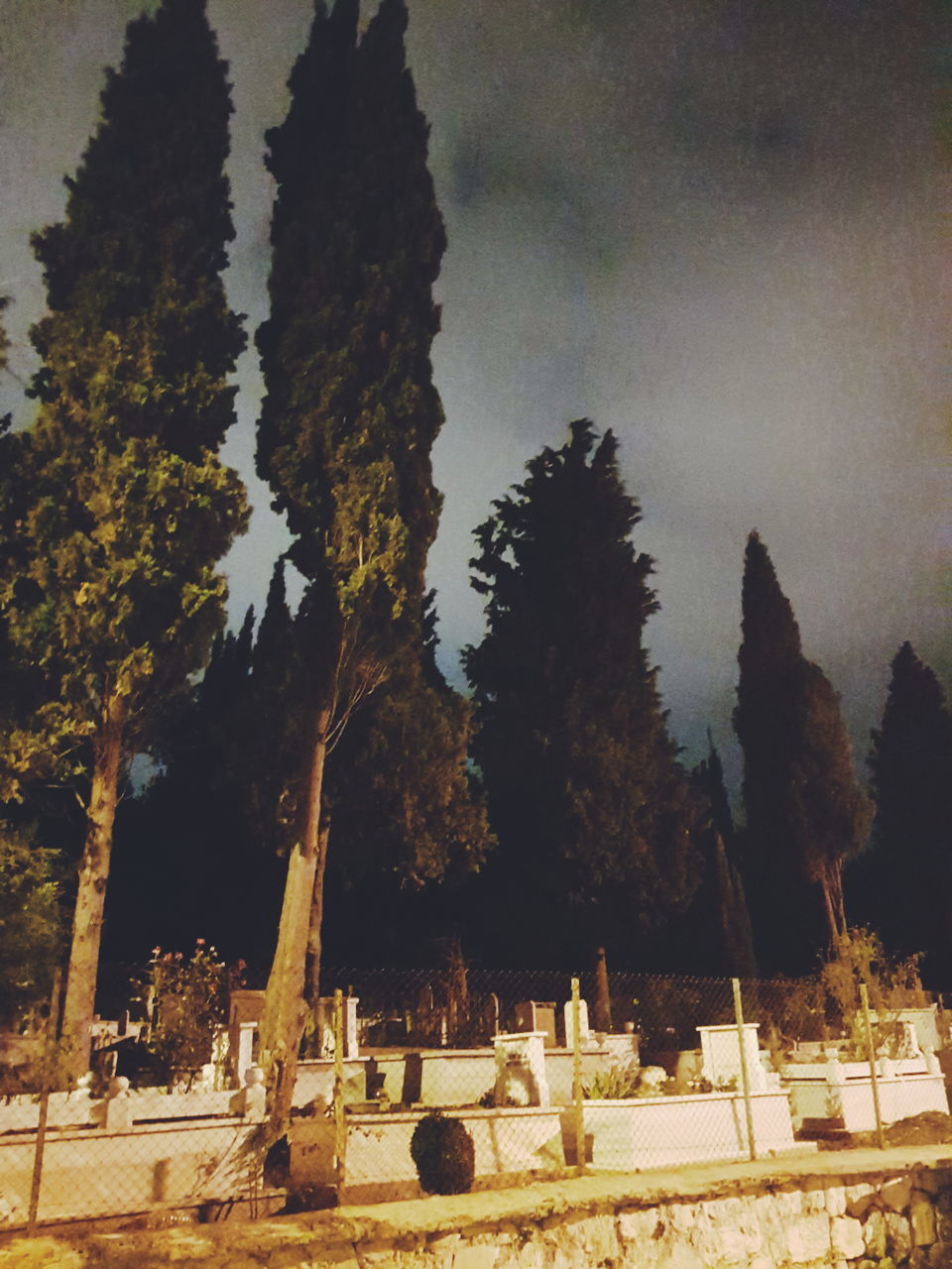 tree, sky, plant, architecture, history, the past, grave, no people, cemetery, nature, religion, travel destinations, tombstone, built structure, cloud - sky, outdoors, ancient, belief, spirituality, ancient civilization