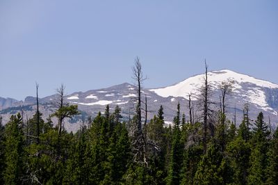 Scenic view of snowcapped mountains against clear sky