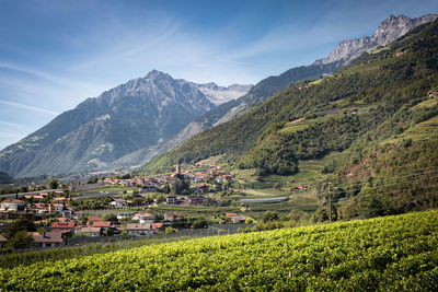 Scenic view of field by mountains against sky