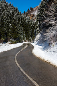 Road amidst trees against sky