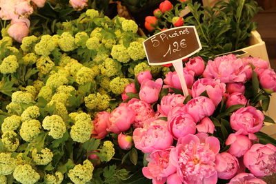 High angle view of pink flowers in market
