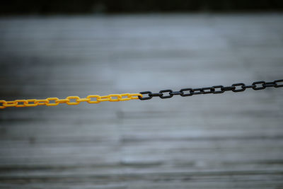 Close-up of chain 