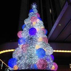 Low angle view of illuminated christmas lights