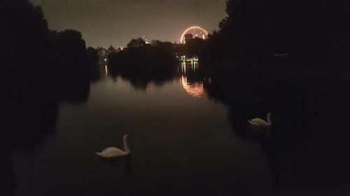 Swan swimming in lake against sky at night