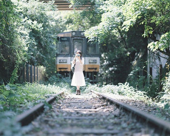 Railroad tracks amidst trees