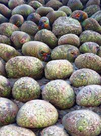 Full frame shot of fruits for sale