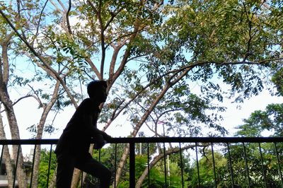 Low angle view of man standing by railing against trees