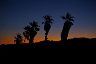 Silhouette palm trees at sunset