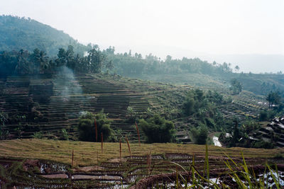 Scenic view of agricultural landscape against sky