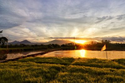 Scenic view of field against sky during sunset