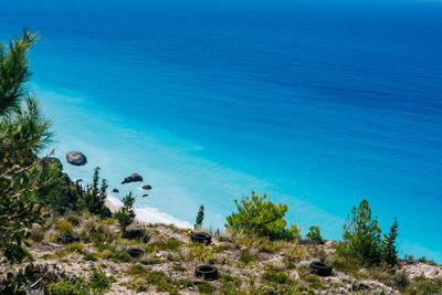 High angle view of trees by sea