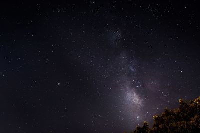 Low angle view of stars against sky at night