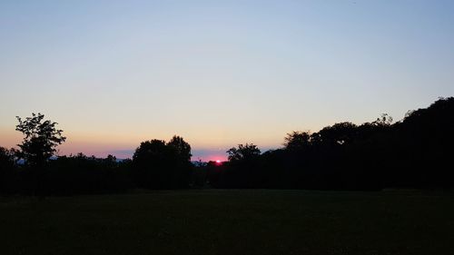 Scenic view of silhouette trees against clear sky during sunset