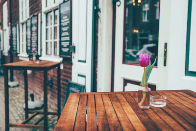 Close-up of potted plant on table