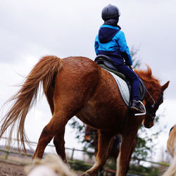 Rear view of man riding horse against sky