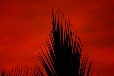 Close-up of silhouette palm tree against romantic sky