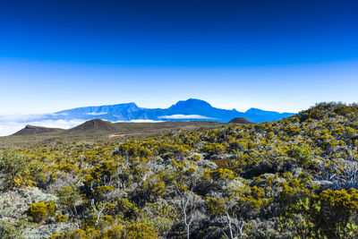 Scenic view of mountains against clear blue sky