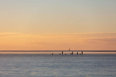 Silhouettes of people take a walk with dogs in the mud flat of north sea at low tide