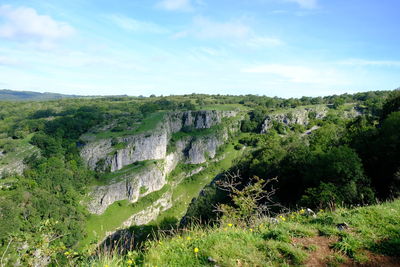 High angle view of trees on landscape against sky