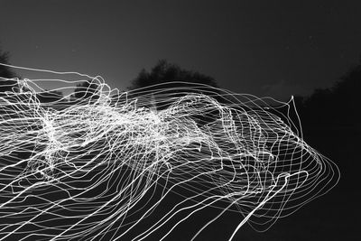 View of trees at night