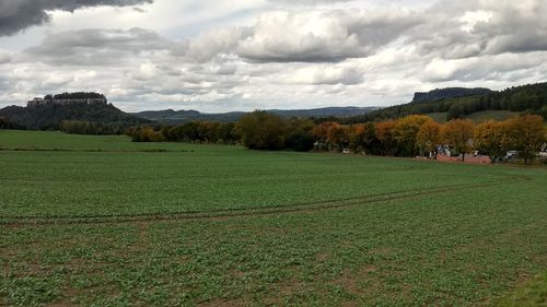 Scenic view of field against sky