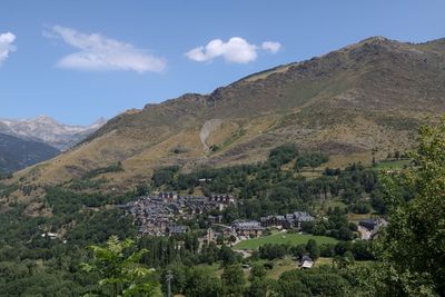 View of trees on landscape against mountain range