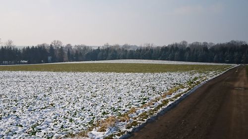 Scenic view of field against clear sky