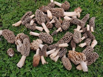 High angle view of wicker basket