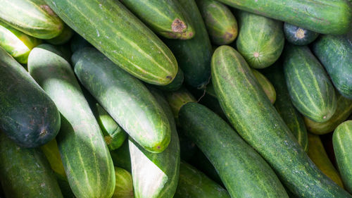 Close-up of fresh cucumber at local market