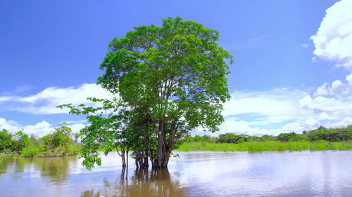 Scenic view of lake against sky